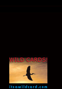 It' a Wild Card note cards